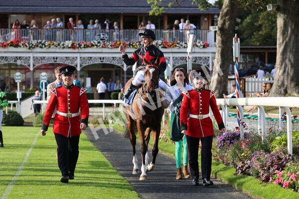 yr05092021r7-36 - Race 7 5.10pm Yorkshire Regiment Stakes