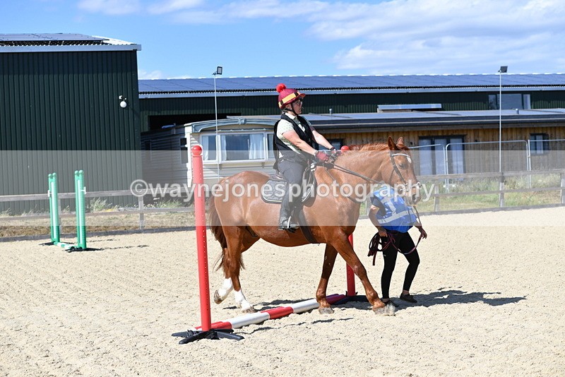 WJ5_4918 - Poles on the Floor