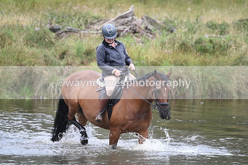 WJ7_7709 - Time at Water 10:28 to 11:05