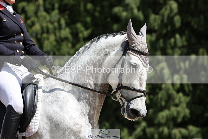 230526-133445-06353 - 366-KILMINGTON_FOLLY-Kristina_Cook-WEDTrotUp+DR