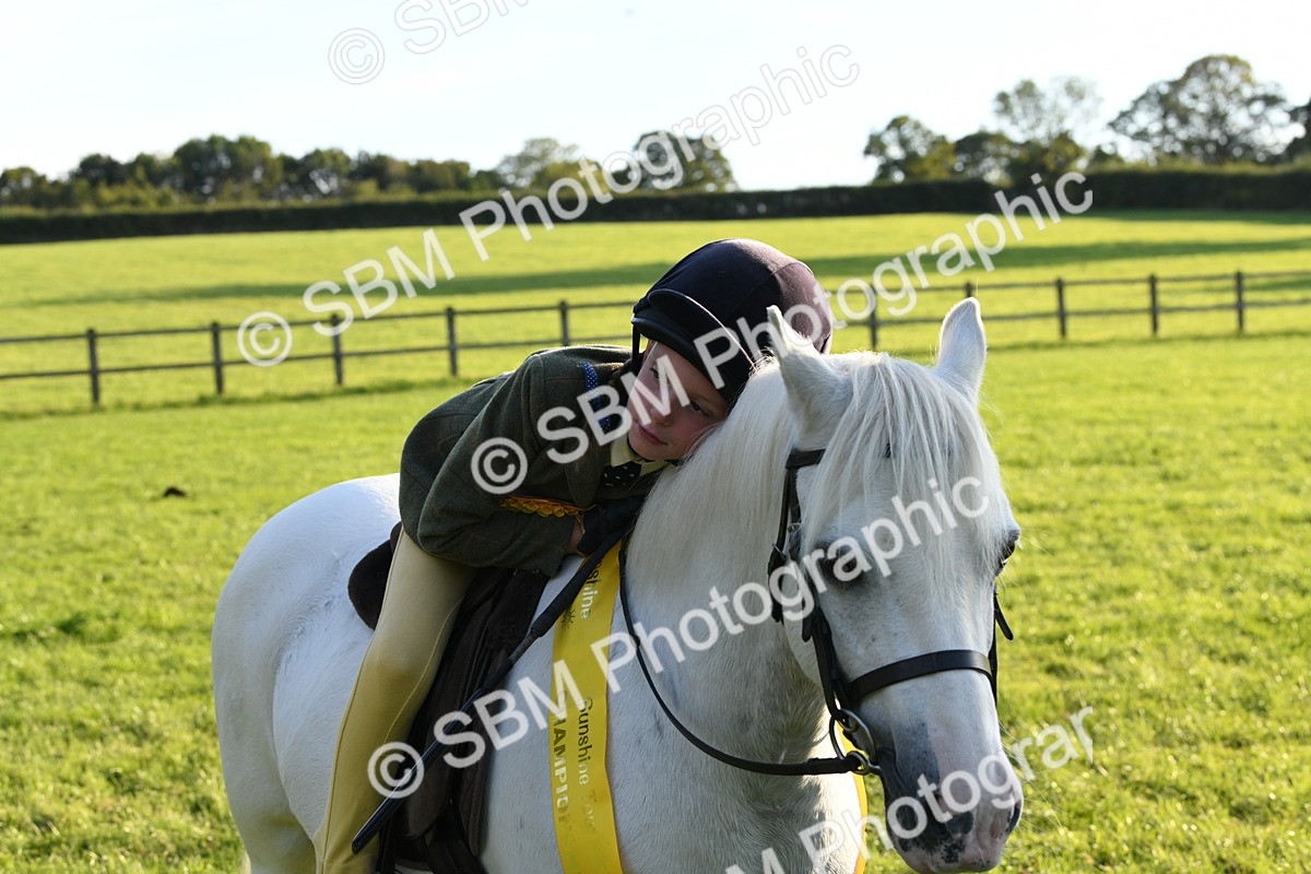 SBM_54161 - S23 - 1st Ridden Mountain & Moorland Pony