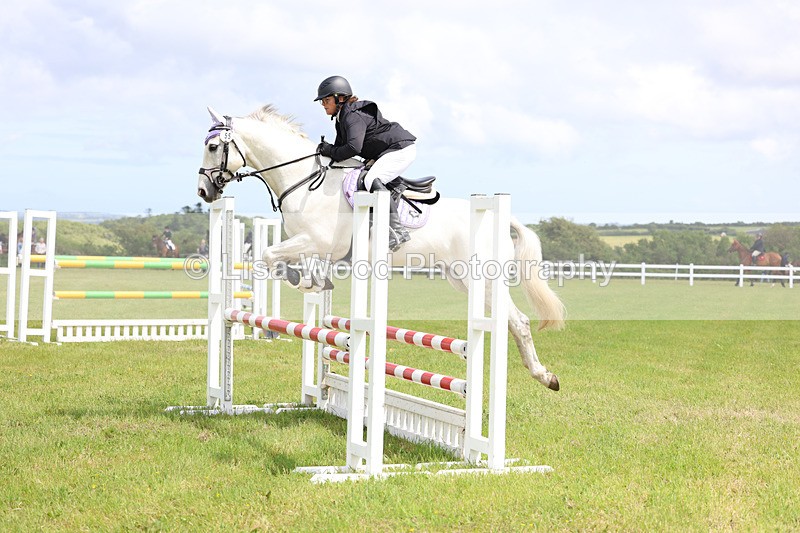 3E7A7435 - Class 13: Senior British Novice/90cm open