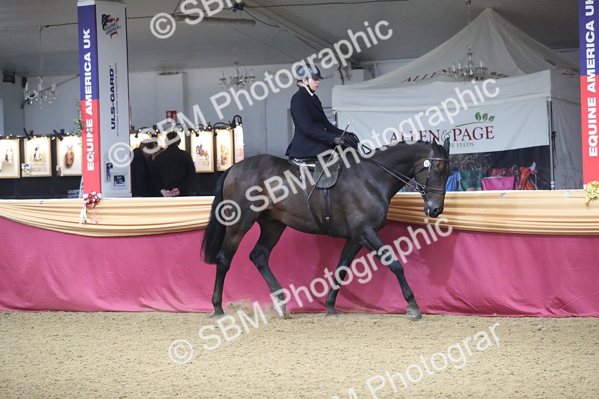 SBM_10307 - Class 102 Equitation (best rider) Adult