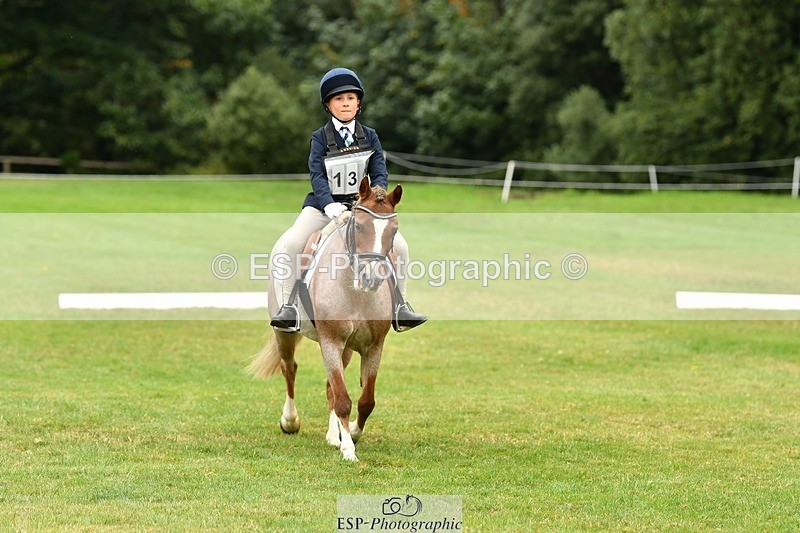 250820A-111730-04986 - 11am to 12