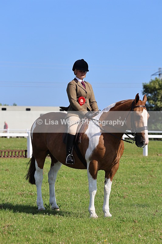 IMG_1673 - Skewbald and Piebald Ridden Championship