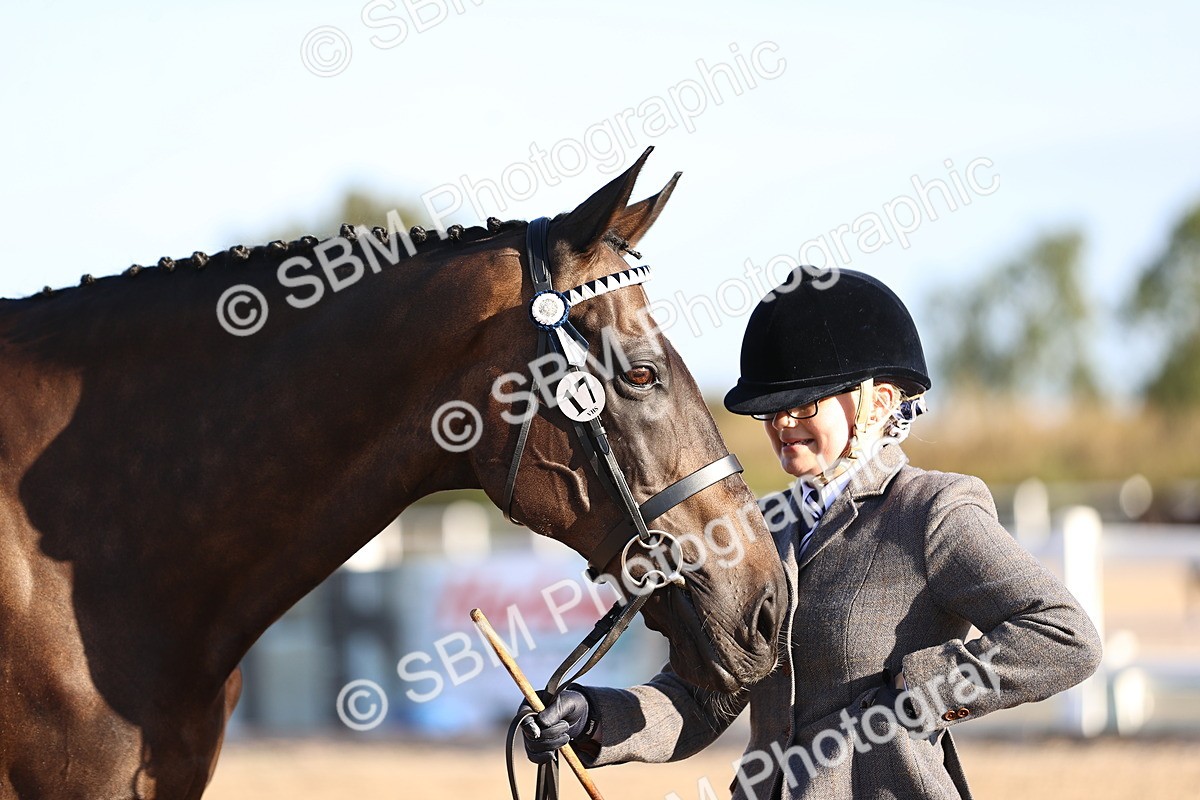 SBM_08346 - Class 401 - IH Veteran Horse