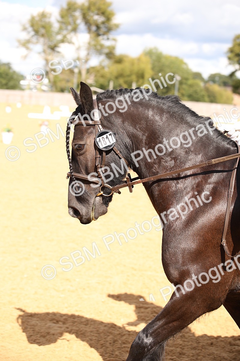 SBM_06724 - D8 Small Tour Championship Prelim 7