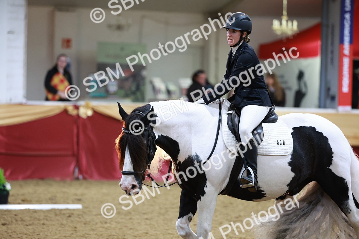 SBM_09973 - Class 61 - Dressage to Music