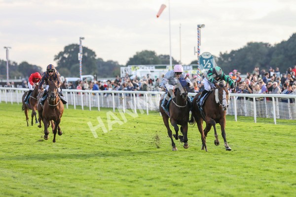 230923-Race 6-September Power-5431 - Race 6 4.55pm New To York Rio Brazilian Handicap