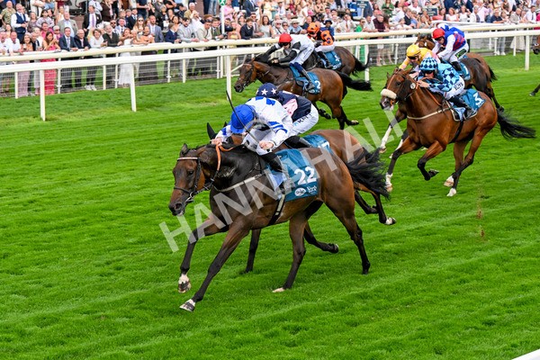 250725-Race 4-Dicko The Legend-0625 - Race 4 7.13pm Tomahawk Restaurants Handicap