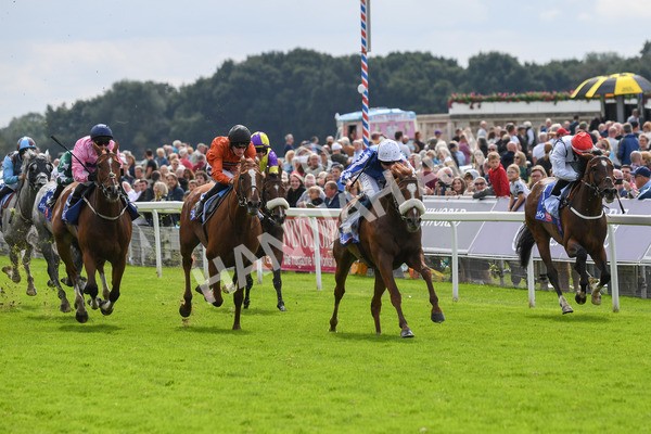 250823-Race 1-Marhaba The Champ-0119 - Race 1 1.50pm Sky Bet Handicap