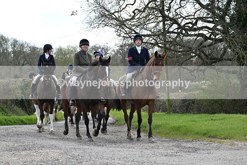 WJ7_9822 - Walk Home