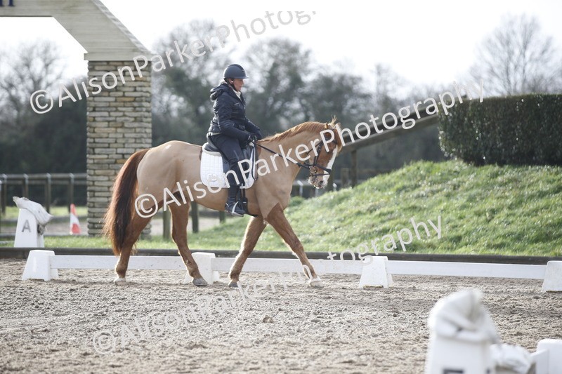 20260127-0340 - Class 16 - BD Novice 2