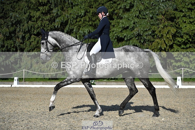 230525-174340-03591 - 130-CFH_DAKAR_HILL-Millie_Juleff-WEDTrotUp+DR