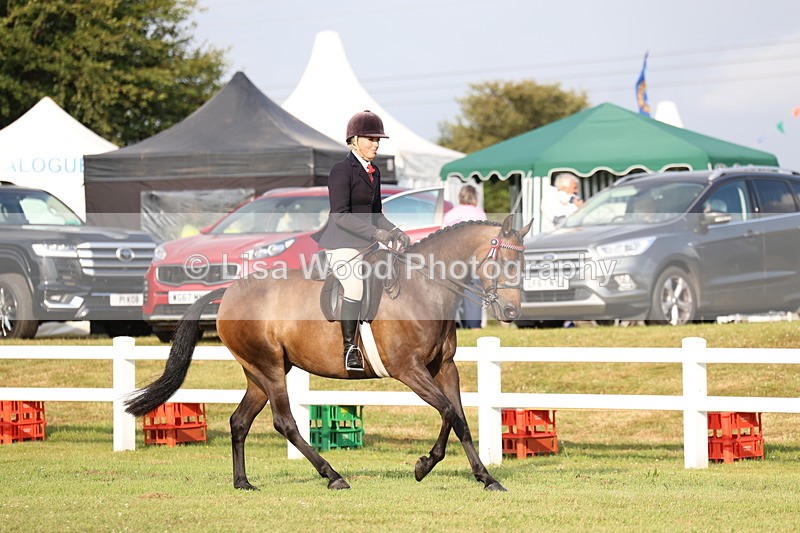 3E7A7678 - Class 1: Rising Star Small Hack/Riding Horses