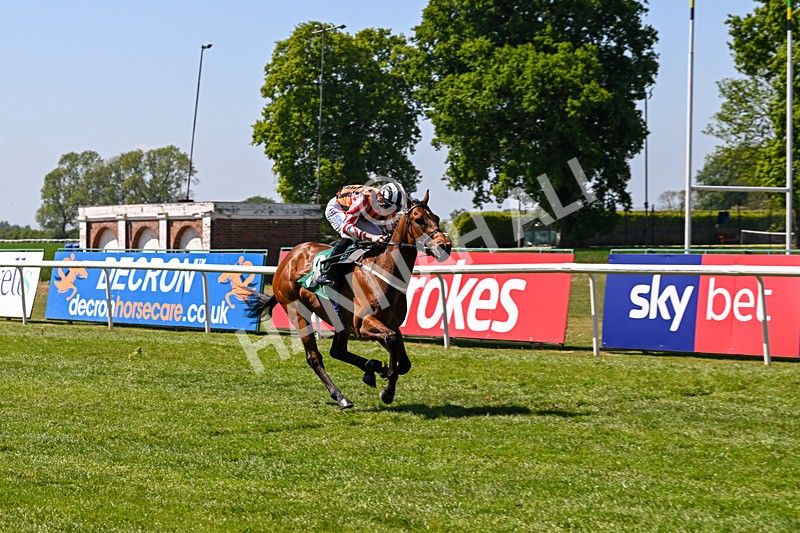 170525-Race 2-Kodiac Thriller-7996 - Race 2