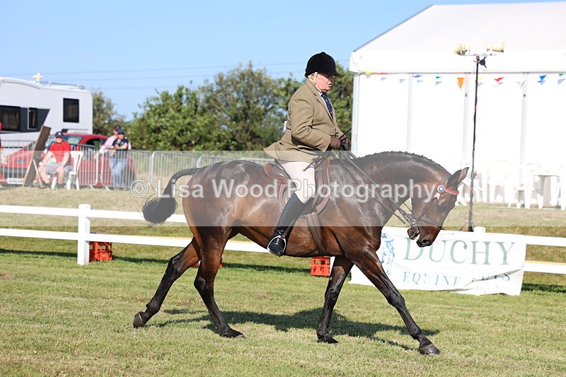 3E7A5336 - Class 2: Rising Star Large Hack/Riding Horse