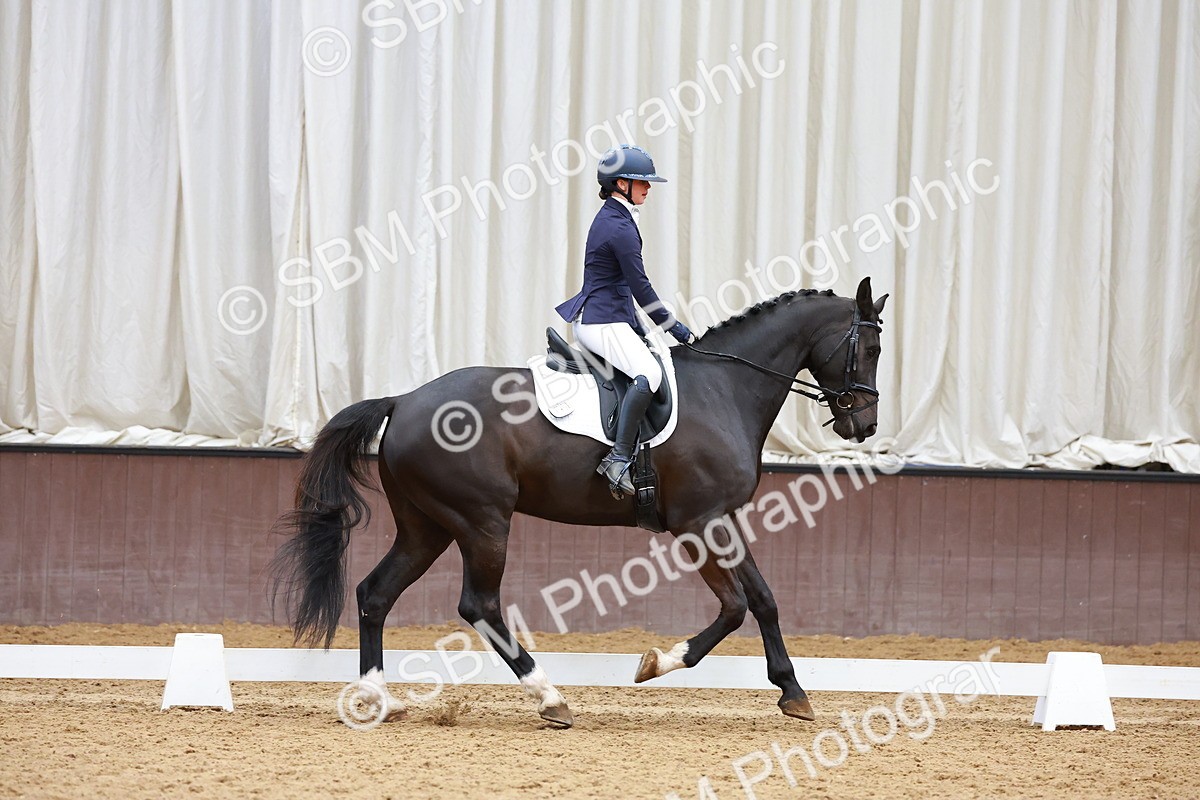 SBM_003493 - Class 11 - Novice 2