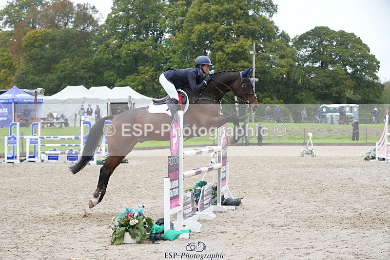 261024A-110610-19255 - B-164-Quidley.Kellermann