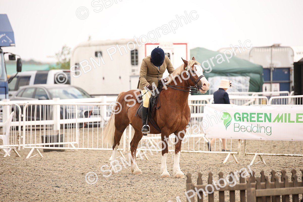 SBM_12603 - Class 405b - M&M Working Veteran 50cm 20+