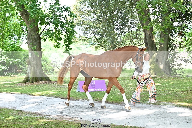 250521A-151639-00393 - B-306-Kat.Raybould-DALOUBET.MANSOLEIN.Z