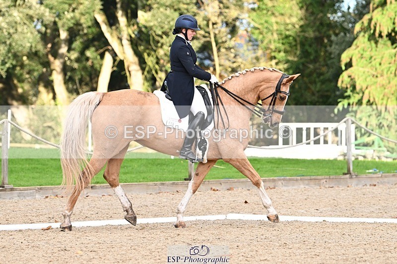 231110-152927-02209 - Cls 11 FEI PSG