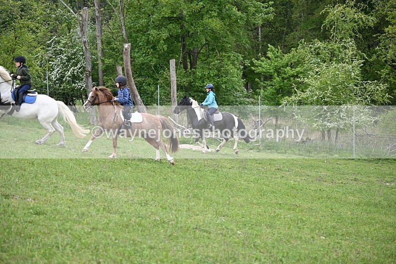 WJ6_3053 - A Camera