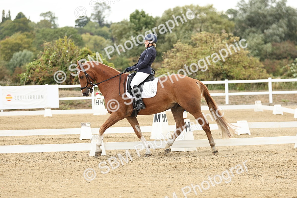 SBM_006642 - Class 21 - Medium 5 Bronze - 9.08-9.48