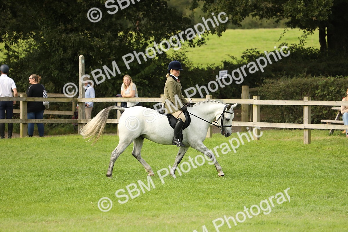 SBM_71526 - S41 - Ridden Equitation (Best Rider)