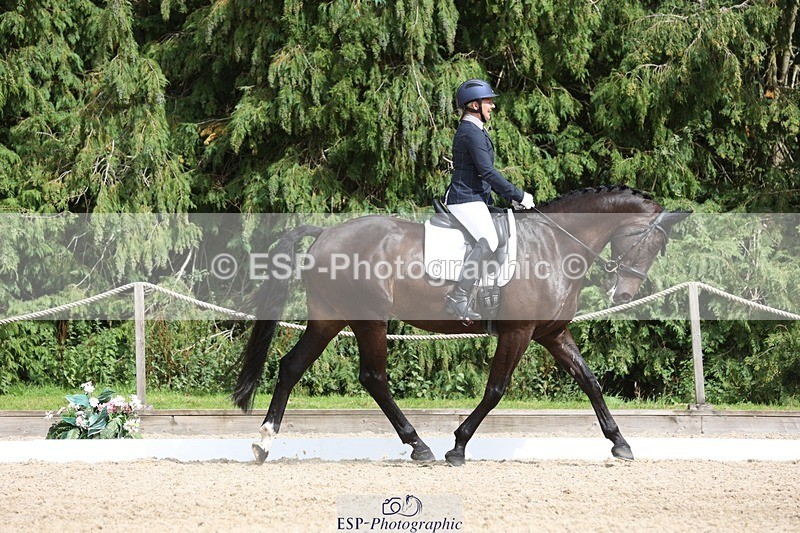 230812-152736-05142 - Cls 5 Novice Bronze 15.00 to End