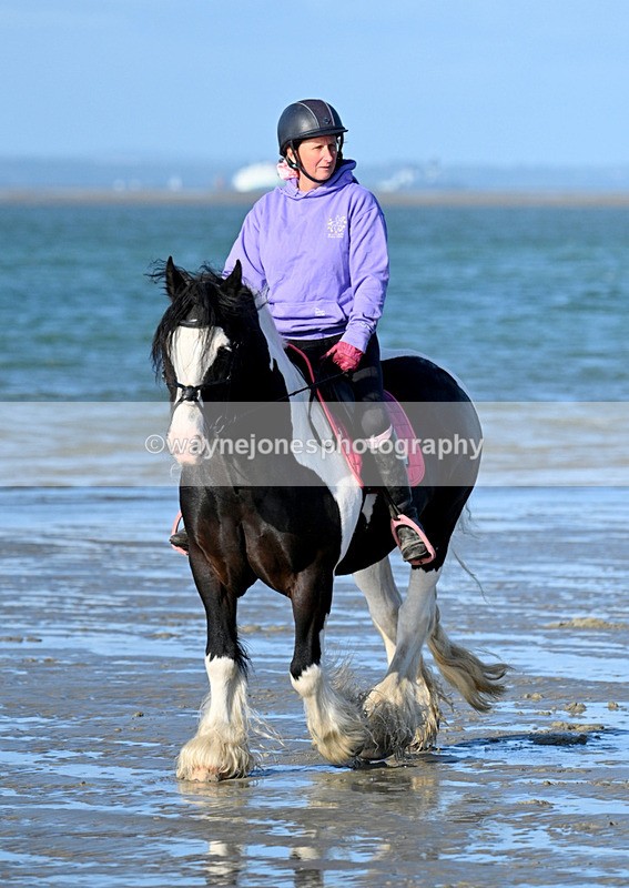 WJ7_2755 - Kellie & Churchill ... do Hayling Island 25-08-24
