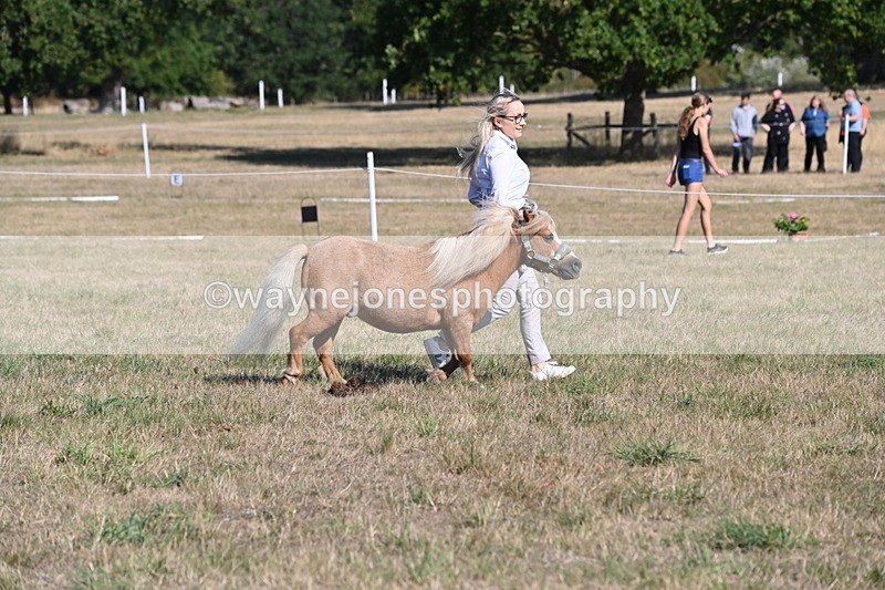WJ6_7258 - Class 33 Rescue Pony