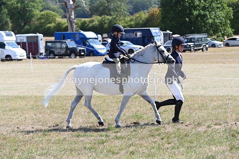 WJ6_7767 - Class 36 Lead Rein