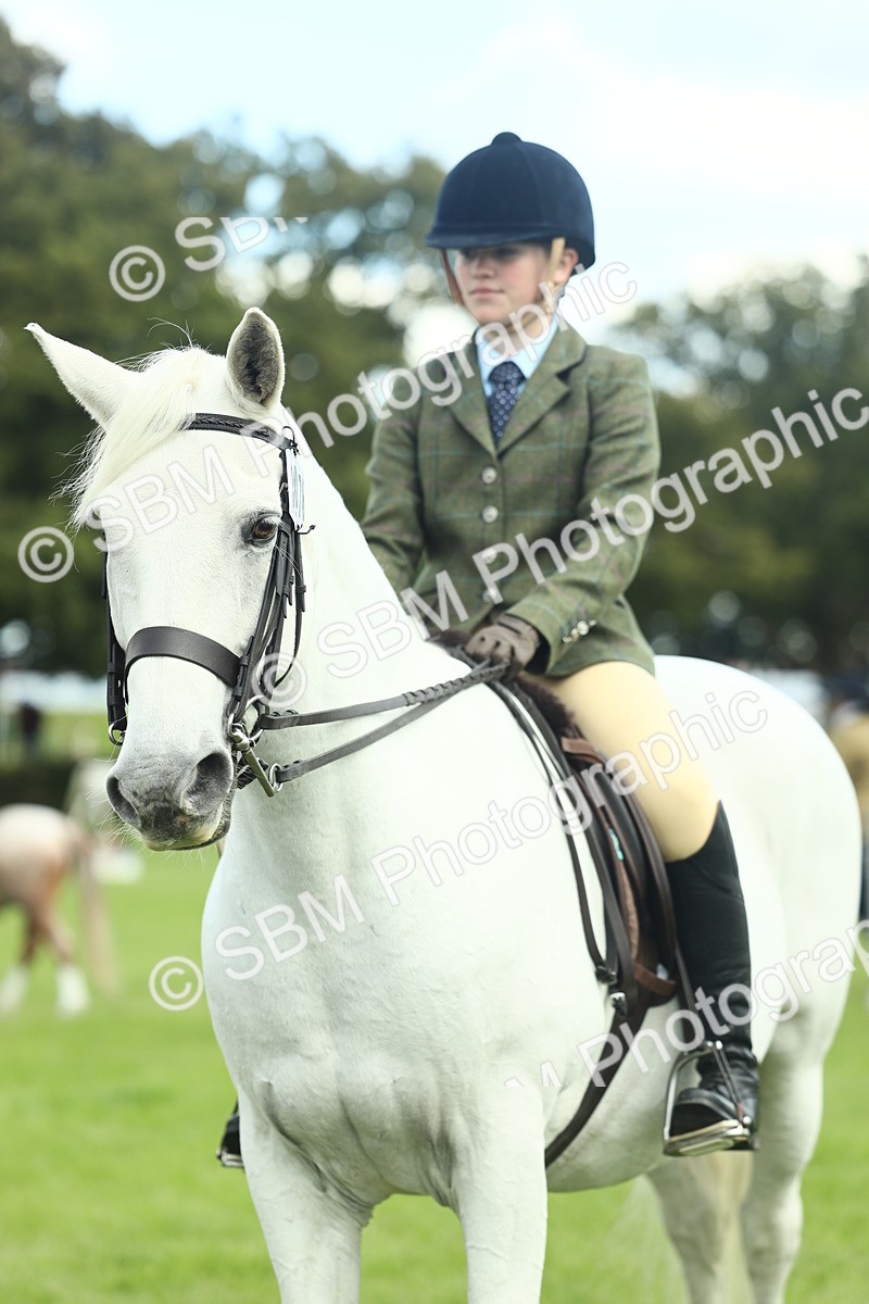 SBM_42219 - S29 - Novice & Newcomers Working Hunter Pony