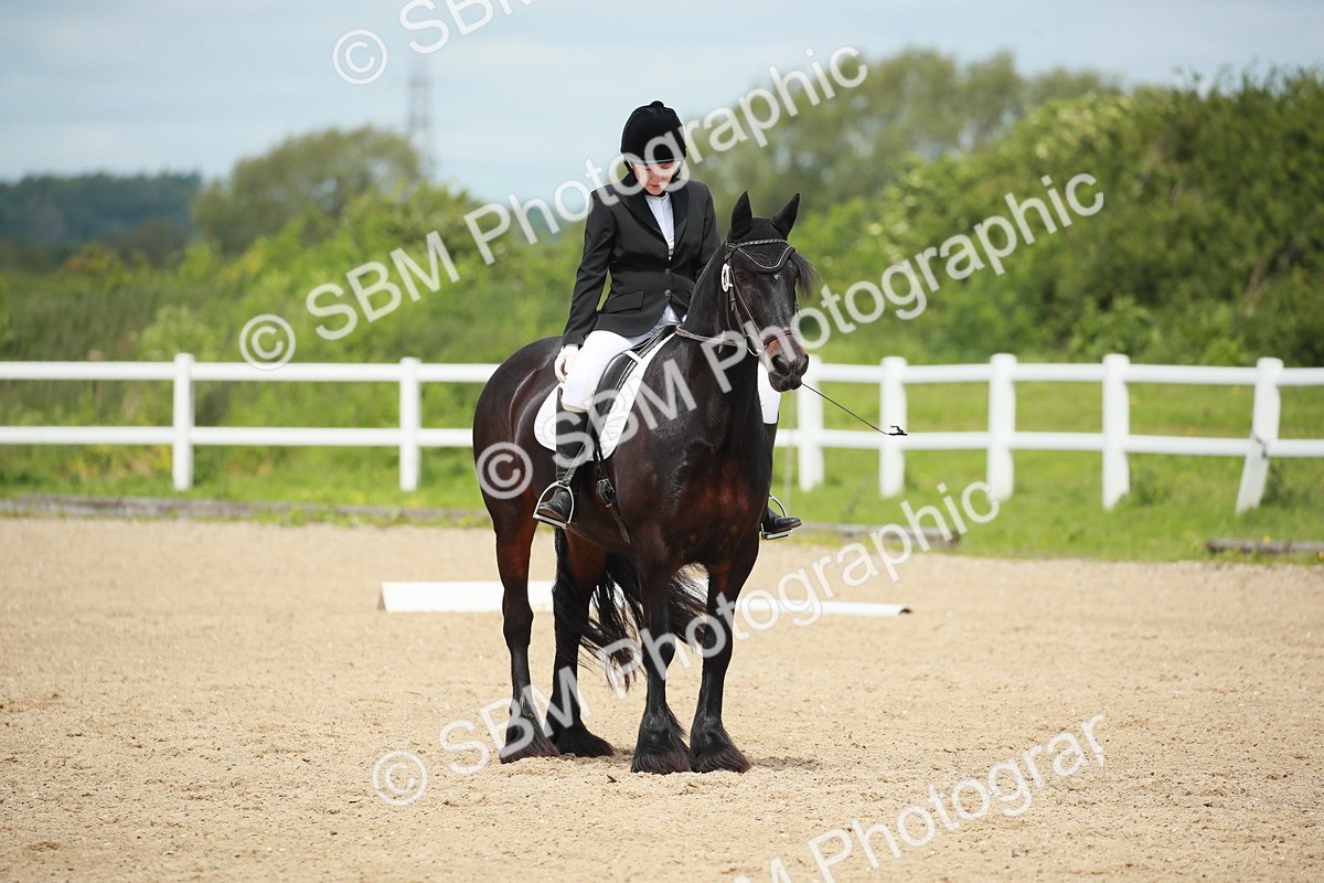 SBM_017816 - Class 14 - Novice 23 - 15.16-16.19