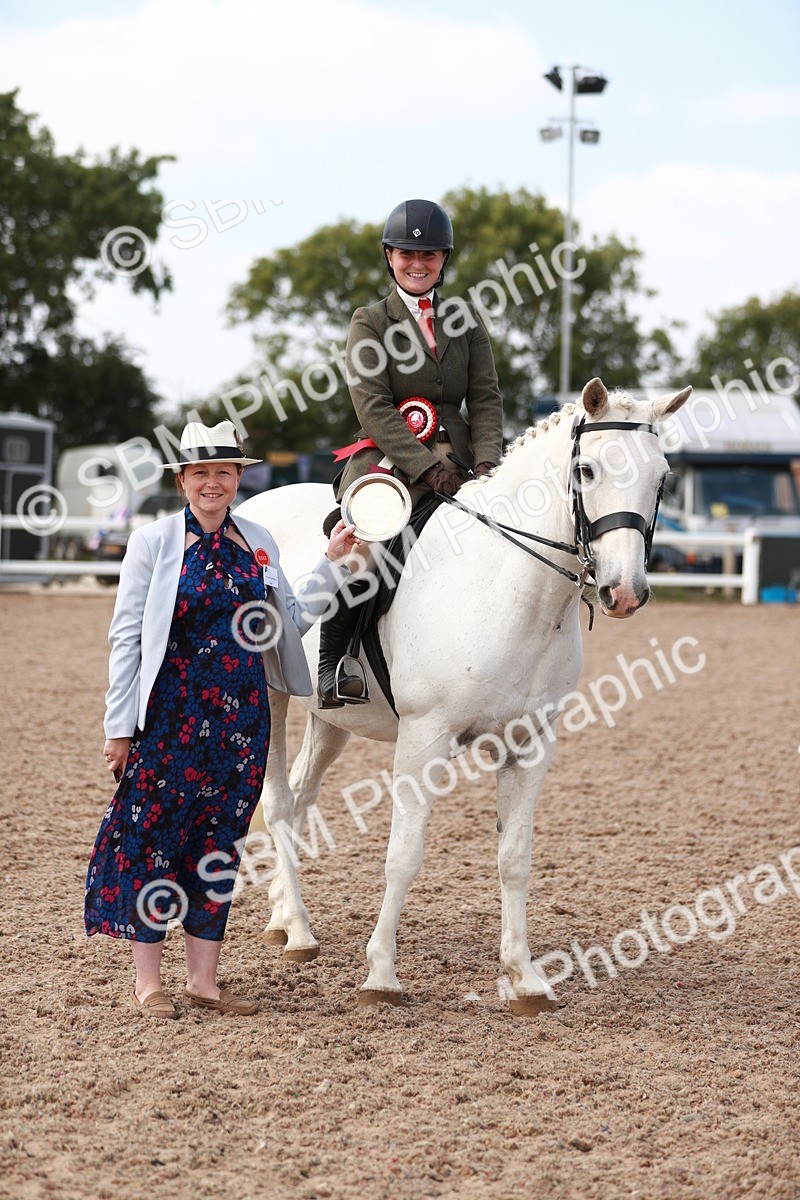 SBM_14918 - Class 212 Ridden Hunter - Small