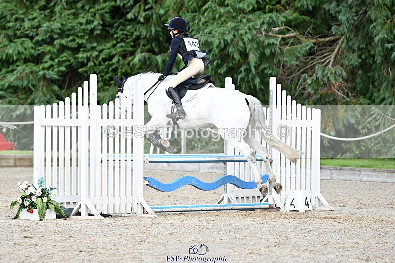 240824X-154853-29770 - 80cm Round 2 15.30 to 16.50