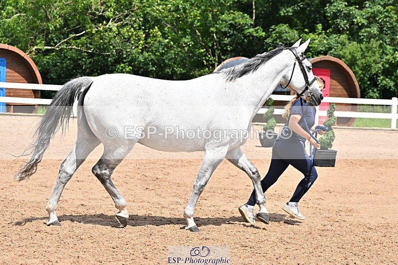 240718A-105305-01551 - Trot Up 1pm to 2pm