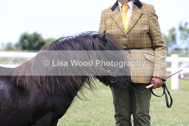 1X9A4805 - Class 35: Veteran In Hand