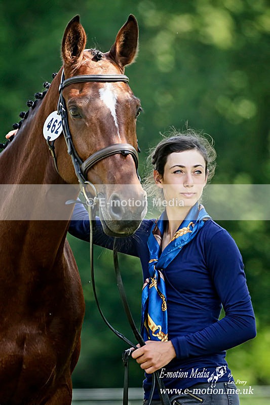 HT 270518 287a - Equestrian