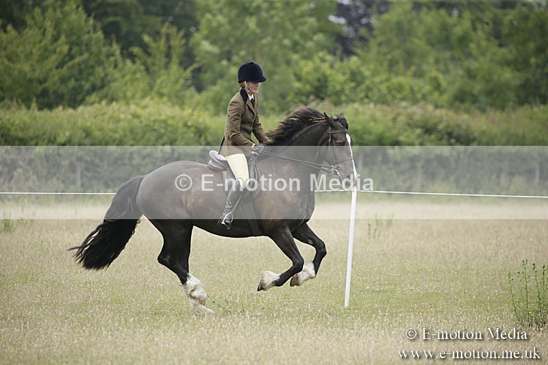 B230619-0510 - Bourne Valley Riding Club Summer Show 23/06/19