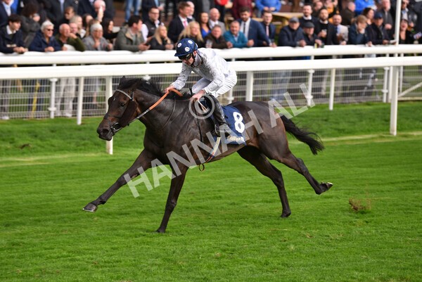 yr07102022r4-34 - Race 4 3.50pm William Hill Best Odds Guaranteed Stakes