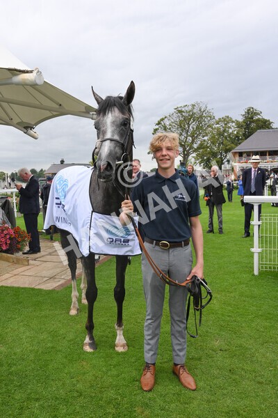 yr19082021r5-53 - Race 5 4.10pm OR8wellness ebfstallions Nursery Handicap
