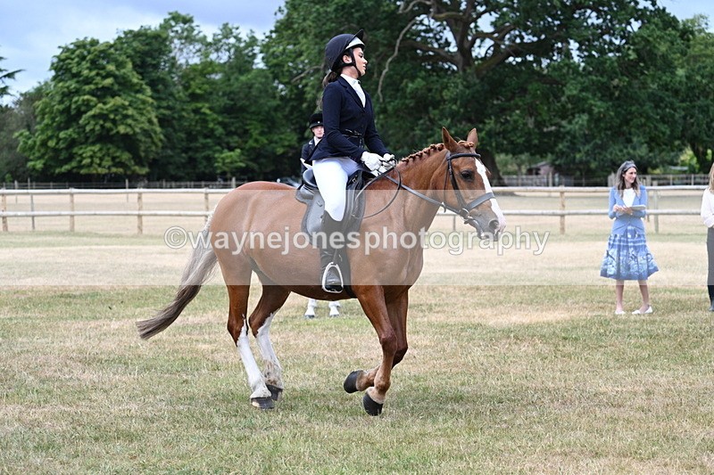 WJ7_0555 - Class 2 Best rider