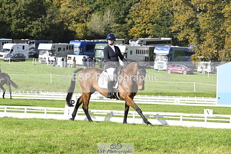 251023A-151017-04539 - E-386-Zara.Head