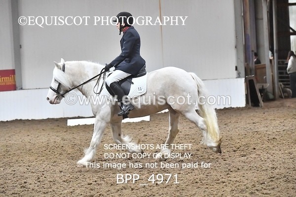 BPP_4971 - INTRO TEST 3