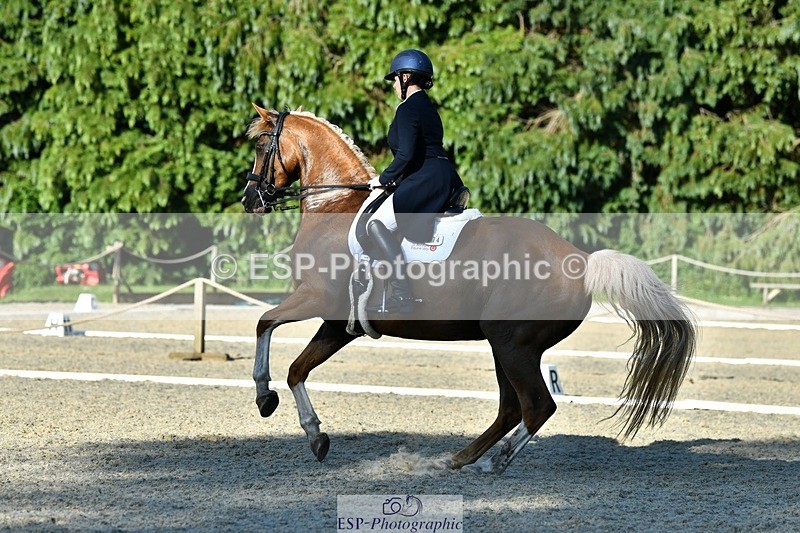 230623-181527-03196 - Cls 11 FEI PSG