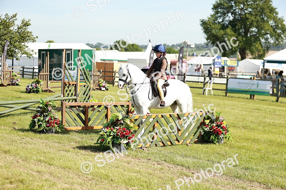 SBM_12638 - Class 106-107 - BSPS LIHS Working Sports Pony