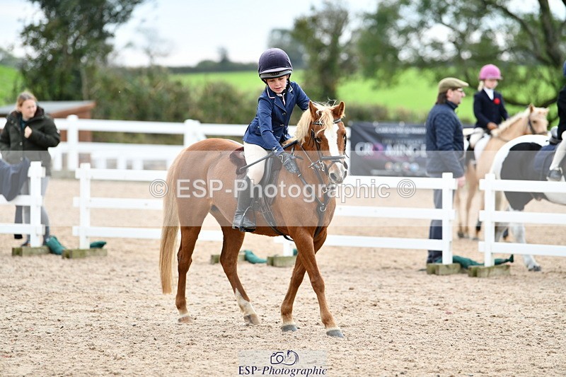 241013B-124948-01054 - Cls 3 50cm