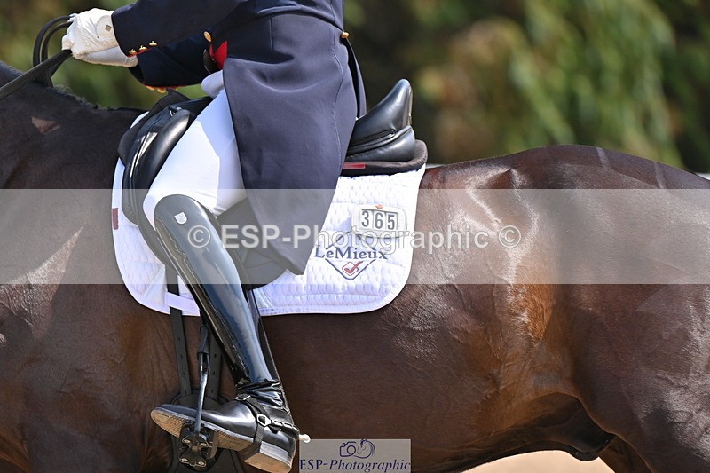 250523A-145714-07401 - B-365-Tom.McEwen-MAESTRO